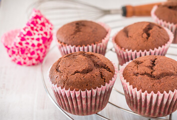 Home-baked chocolate muffins in muffin tray on cooling grid	