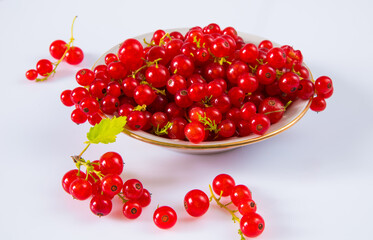 Red currants in a plate on a white background.