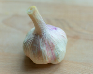 einzelne Knoblauchknolle auf einem Holzbrett in Nahaufnahme