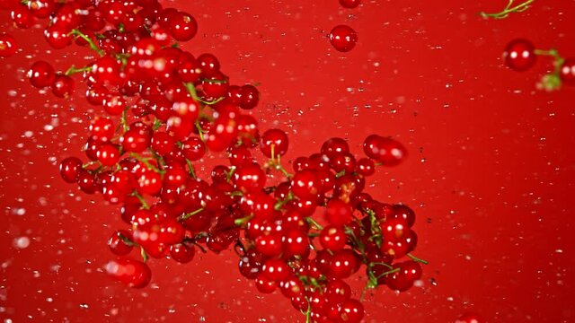 Super Slow Motion Shot of Red Currants and Water Side Collision on Red Background at 1000fps.