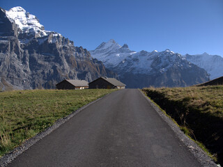 Walk in Alps, Grindelwald, Switzerland. Scenic panorama.