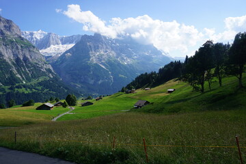 swiss alps landscape