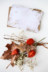 autumn composition of dry leaves and flowers on a white background. space for text