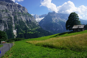 swiss alpine landscape