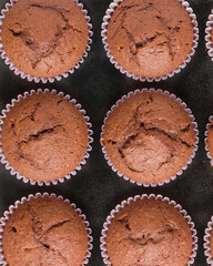 Home-baked chocolate muffins in muffin tray 