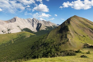 Fototapeta premium Green Meadow Grass Alpine Valley Natural Parkland and Scenic Landscape Panorama Hiking Mist Ridge in Kananaskis Country, Alberta Foothills of Canadian Rocky Mountains on a Bright Summertime Day