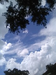 Obraz na płótnie Canvas Heavenly Sky With White Fluffy Clouds On The Coast Of Louisiana