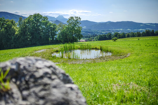 Stein und Teich vor dem Traunstein / Gebirge