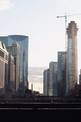 Fototapeta premium skyscrapers in dubai united arab emirates