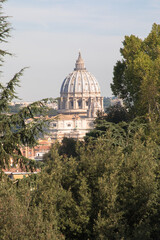 The dome of Saint Peters basilica seen through the trees, Rome, Italy
