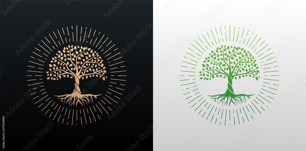 Wall mural tree of life with rays round shape design vector gold and green gradient isolated on black and white