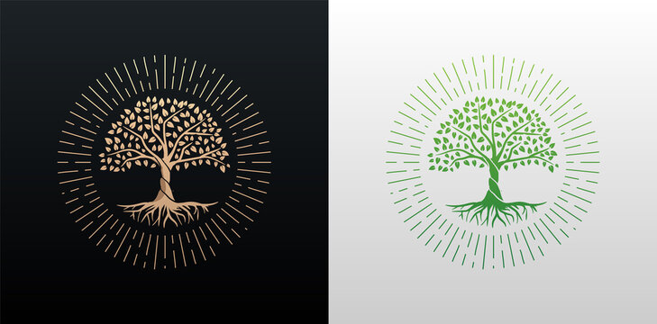 Tree of life with rays round shape design vector gold and green gradient isolated on black and white background