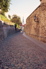 Panoramic view of the central streets of Tallinn on a summer morning in Estonia. Real grain scanned film.