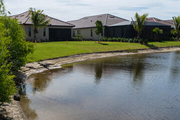 Fototapeta na wymiar Alligator on the shore of a Florida golf community pond with luxury homes in the background/