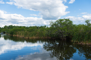 Lake Trafford in South Florida. Nature background on a fresh water source