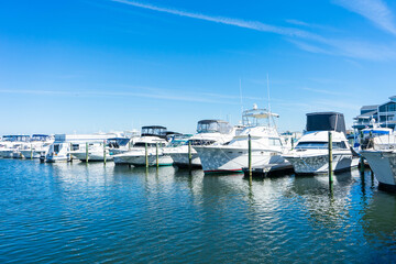 Yachts docked at a yacht club in Long Beach Island, New Jersey