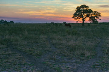 atardecer de campo con el sol ya puesto en horizonte