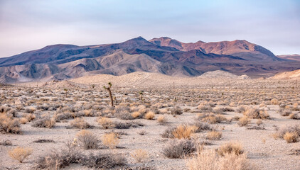 death valley national park on sunny day