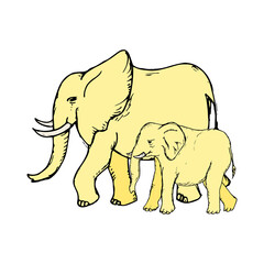 Elephant hand drawn icon vector