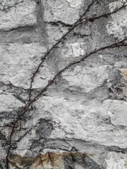 texture - stone wall (portrait mode)