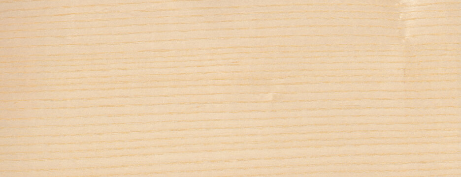 Wood Texture Background Ash