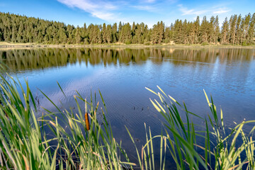nature reflections at wilderness lake in washington state