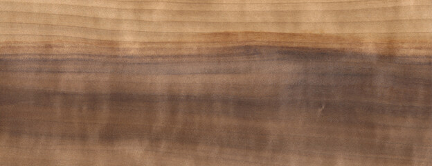Fototapeta premium Wood Texture Background Alder