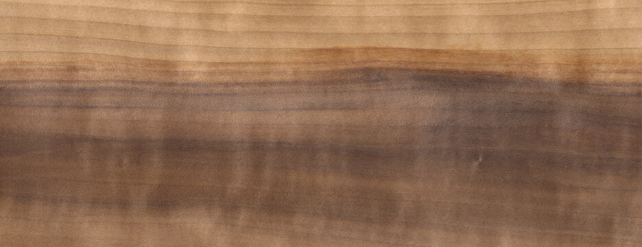 Wood Texture Background Alder