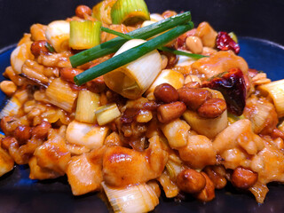 Chinese traditional cuisine Kung Pao chicken with peanut and scallion under bright light