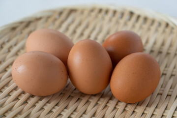 産みたての卵