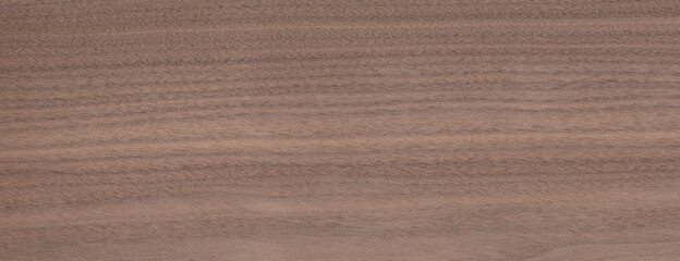Obraz premium Wood Texture Walnut Background