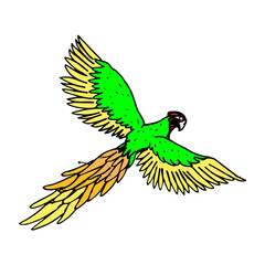 Parrot hand drawn icon