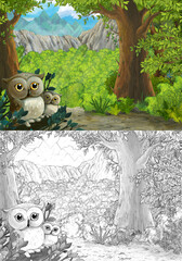 Cartoon scene with owls in the forest and path to the valley