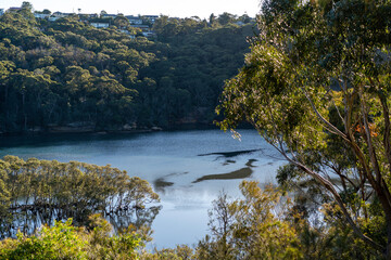 Clear water mirroring the forest trees under a cloudy morning sky