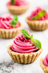 Mini Pink Cheesecake with swirl cream and green mint garnish