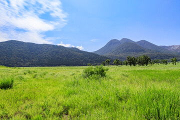 夏の長者原　大分県玖珠郡　Chojabalu in summer Ooita-ken Kusu-gun