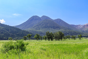 Fototapeta premium 夏の長者原 大分県玖珠郡 Chojabalu in summer Ooita-ken Kusu-gun