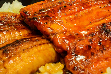 豊漁が続いているウナギが美味しい