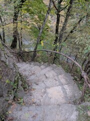 Stone steps in the forest