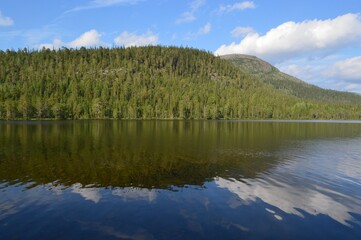 Obraz premium lake in the forest