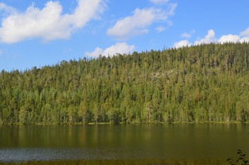Obraz premium lake in the forest