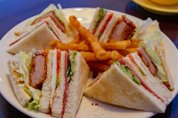 Close up shot of delicious sandwich with french fries