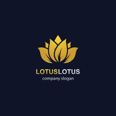 Lotus logo template vector icon