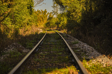 Disabled train tracks on abandoned railroad in Brazil