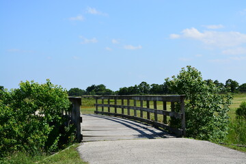 Wooden Bridge in Texas