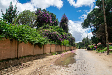マダガスカルのアンタナナリボの動物園への道