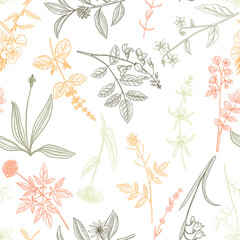 vector drawing floral vintage seamless pattern