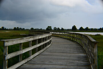 Wooden Bridges In Texas