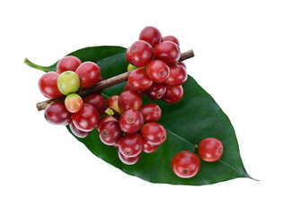 Coffee beans and Coffee leaf isolated on white