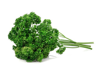 parsley isolated on a white background